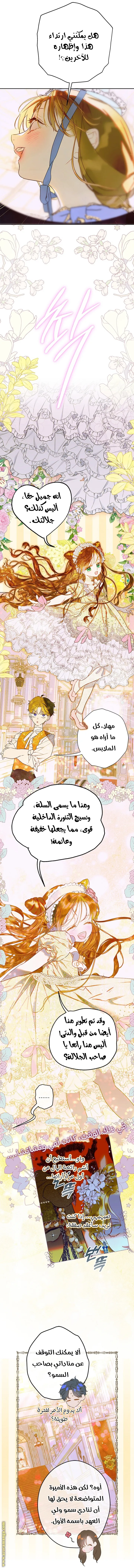 الصفحة 11