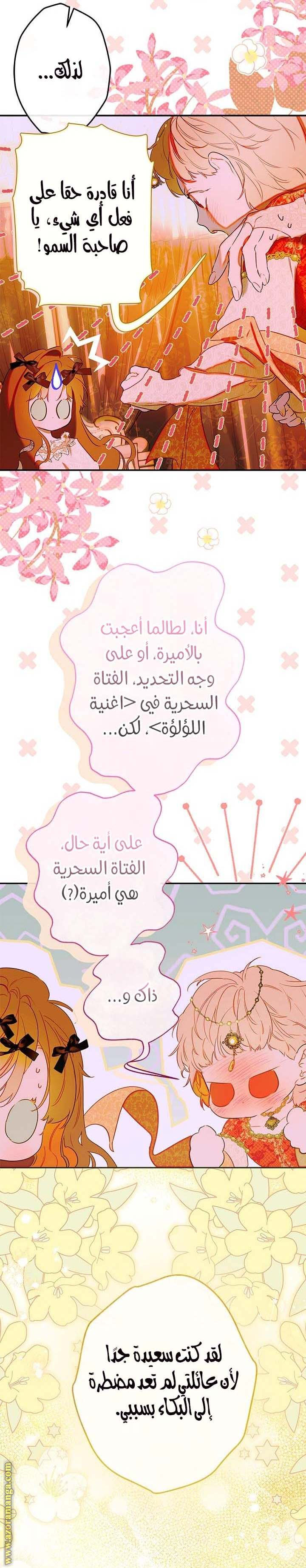 الصفحة 17