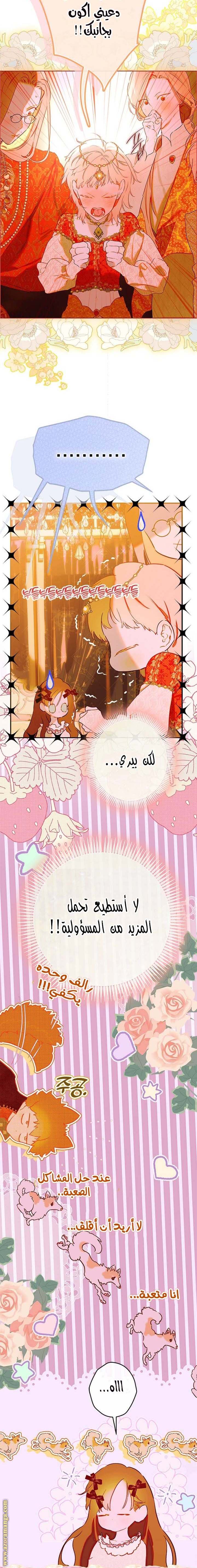الصفحة 22
