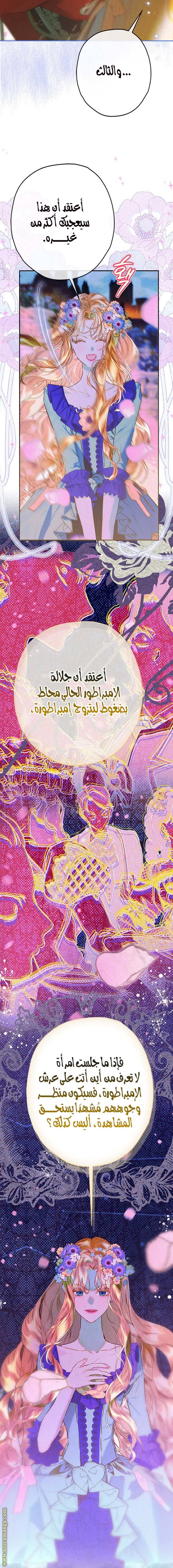 الصفحة 14