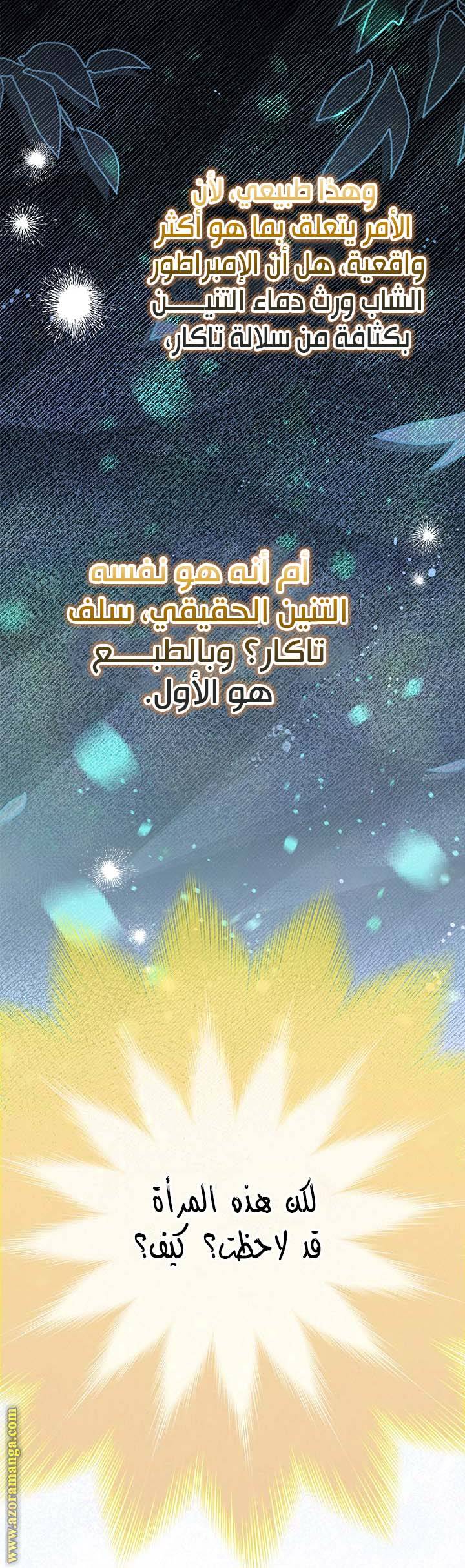 الصفحة 28