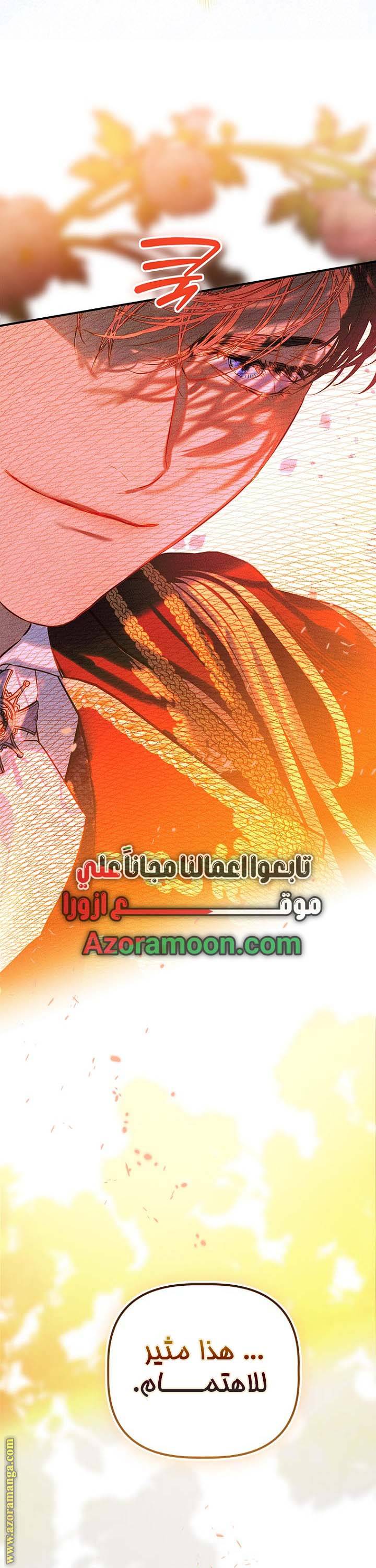 الصفحة 29