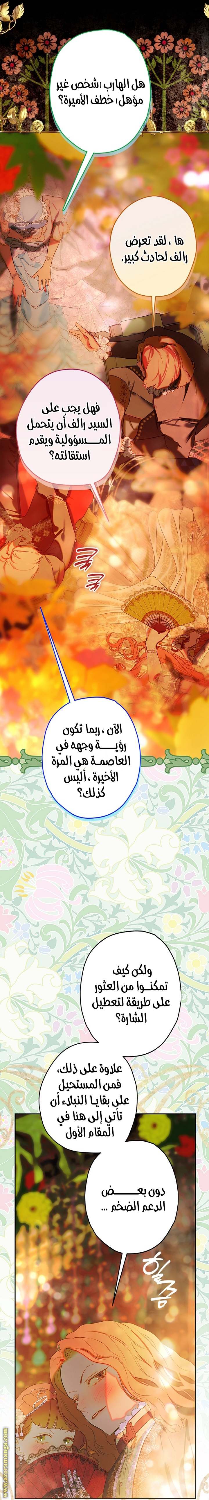 الصفحة 17