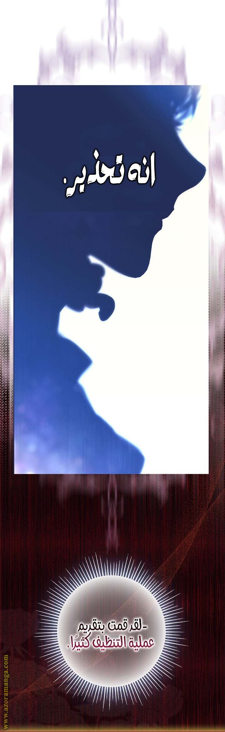 الصفحة 19