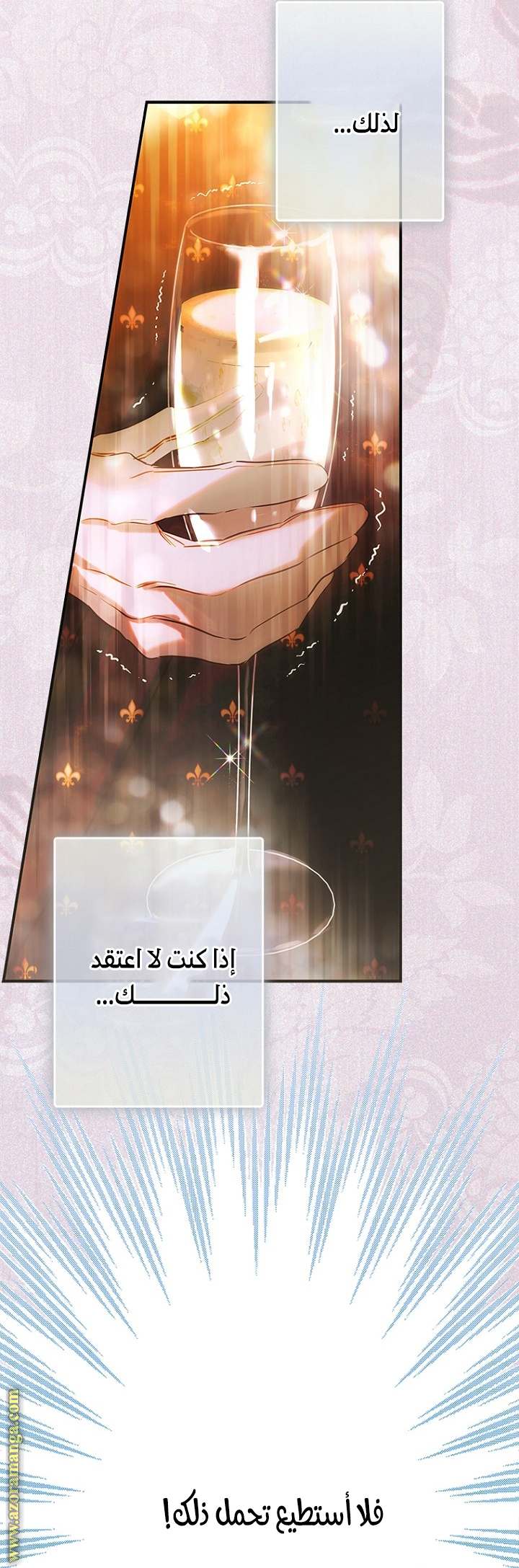الصفحة 25