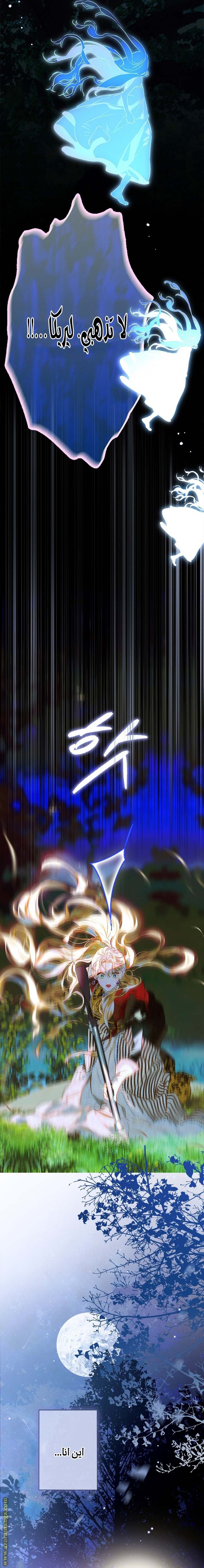 الصفحة 32