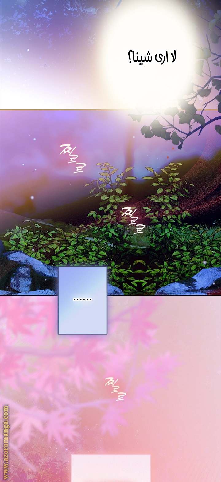 الصفحة 33