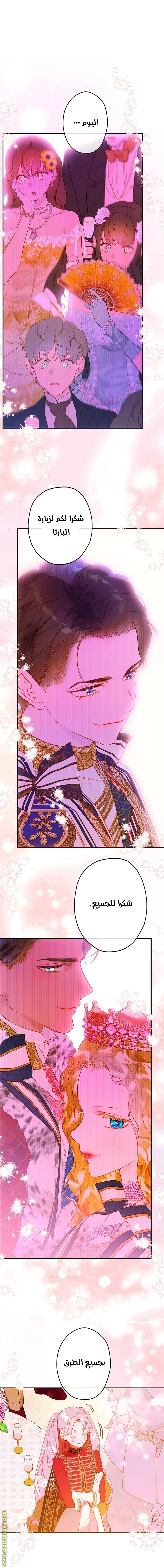 الصفحة 14