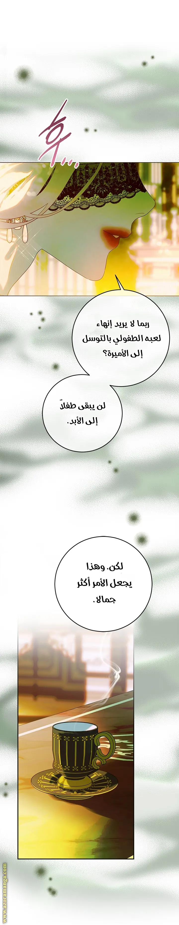 الصفحة 17