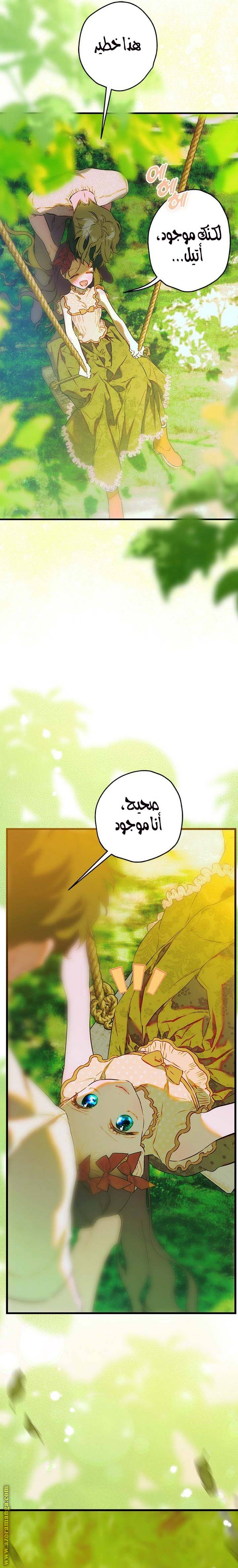 الصفحة 17
