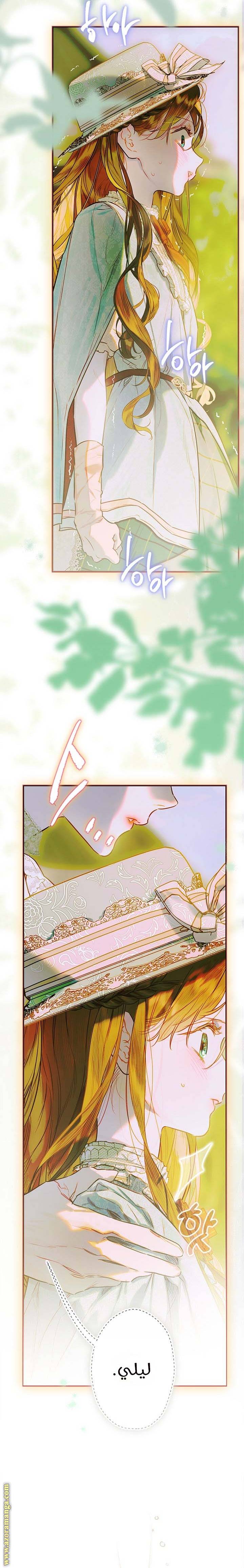 الصفحة 19