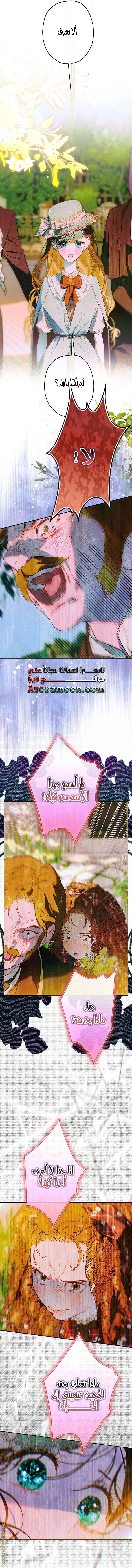 الصفحة 20