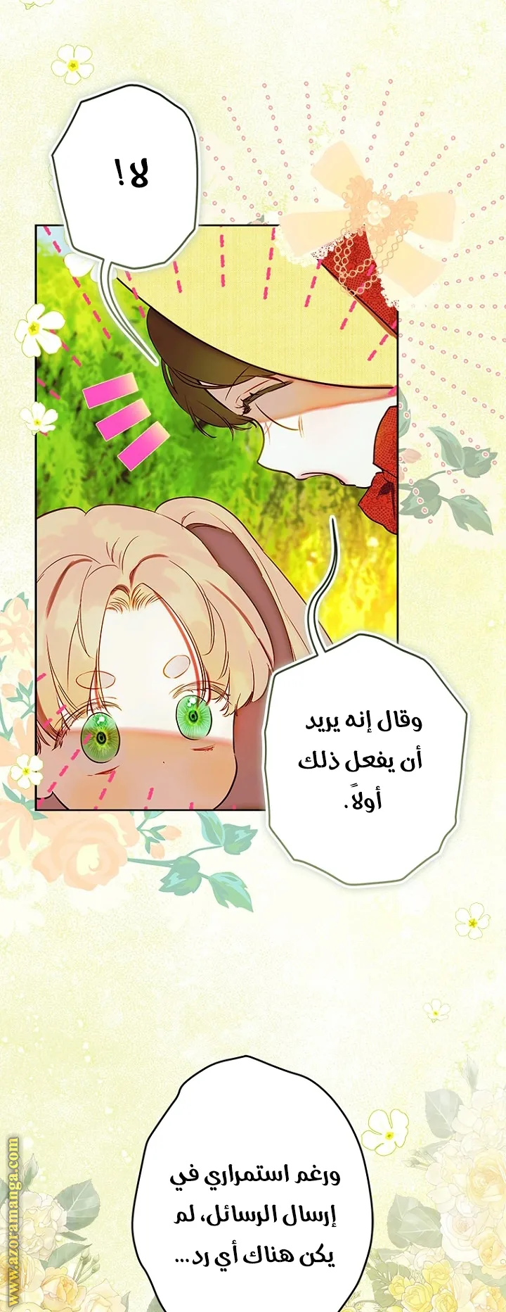 الصفحة 25