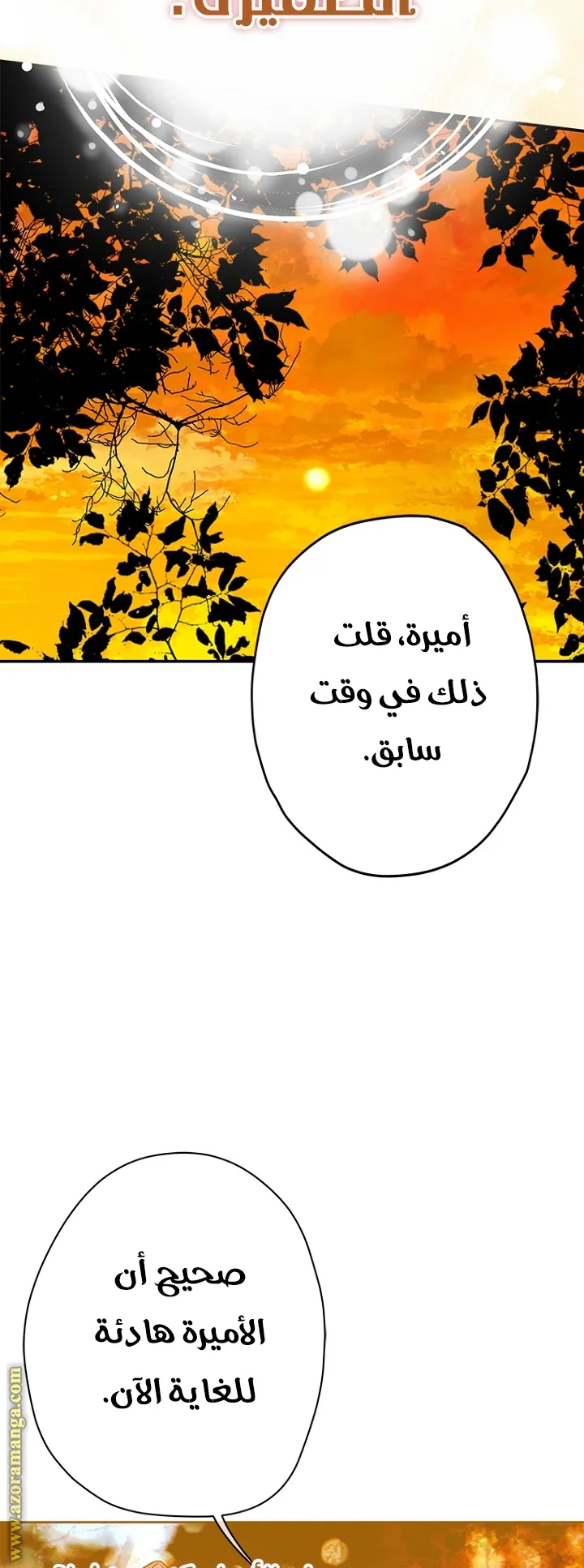 الصفحة 51