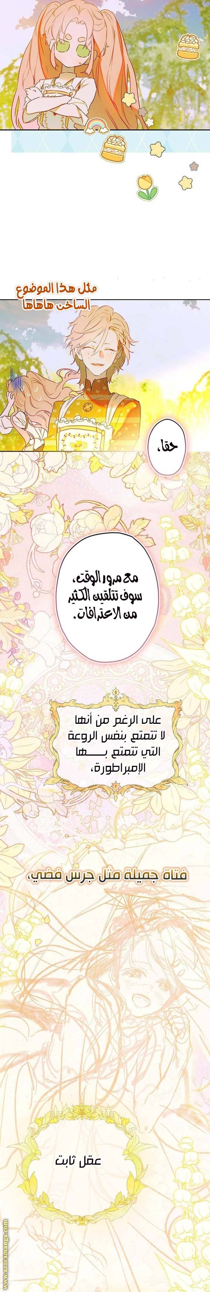 الصفحة 17