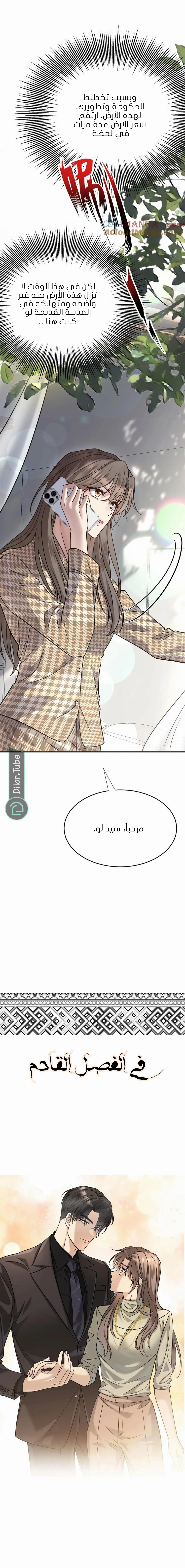 الصفحة 17
