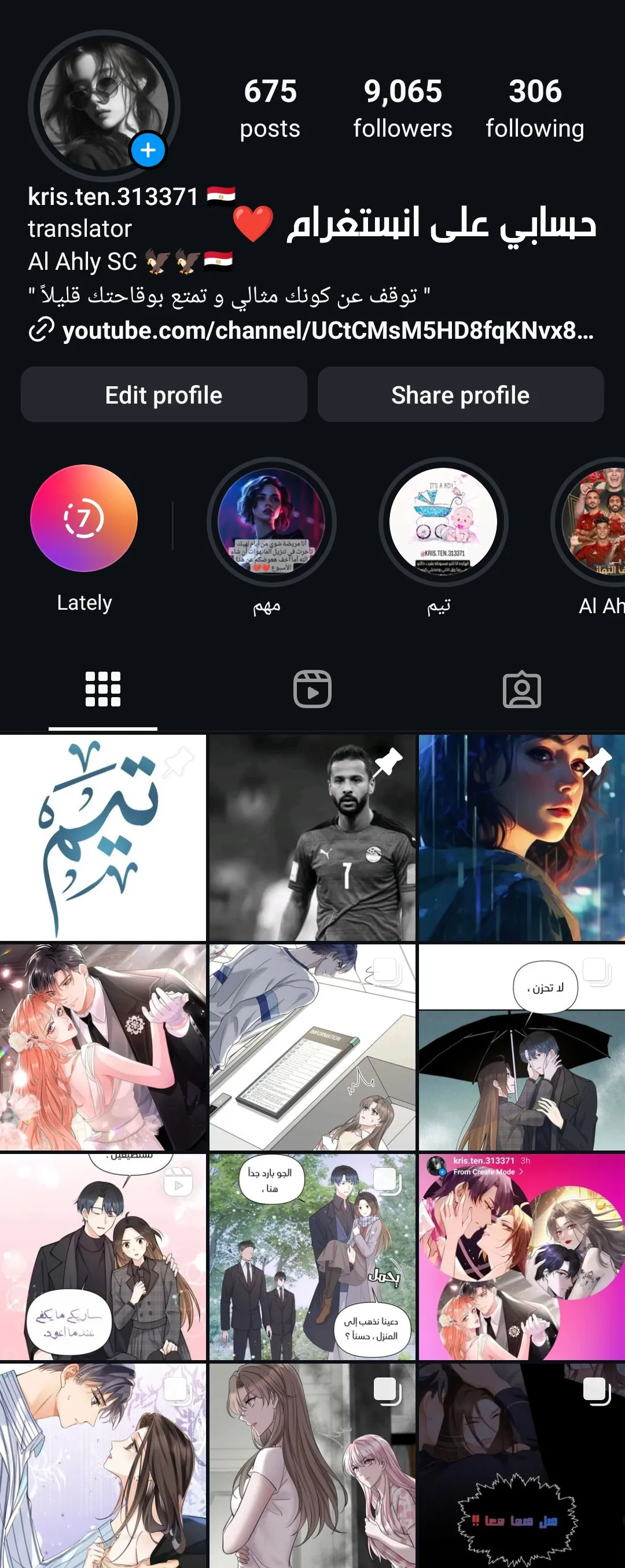الصفحة 13
