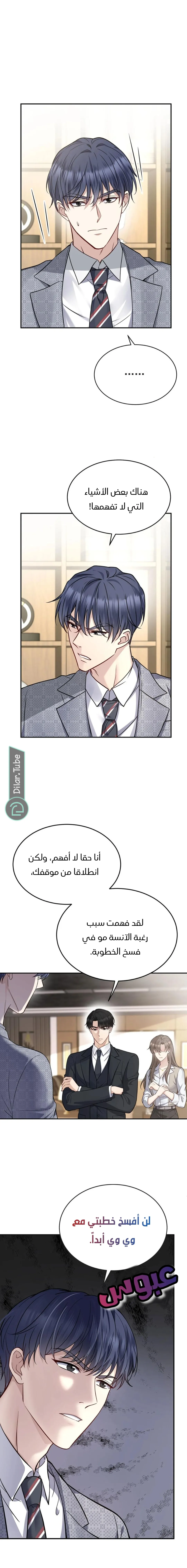 الصفحة 13
