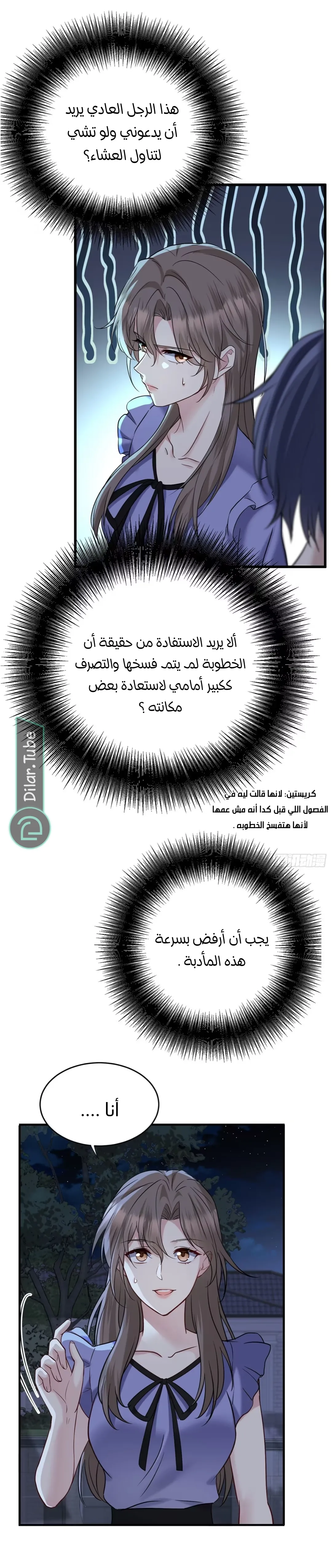 الصفحة 13