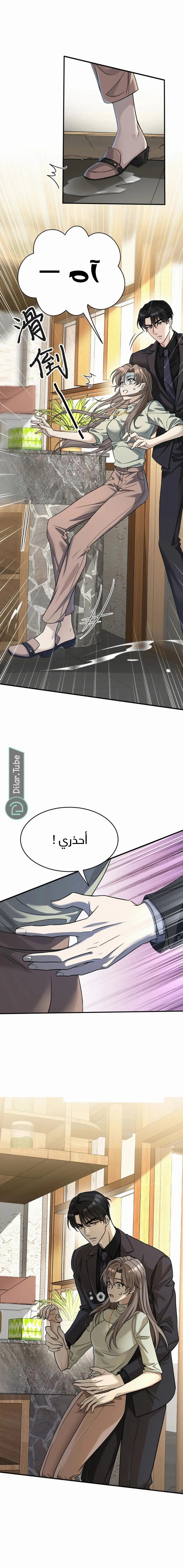 الصفحة 12