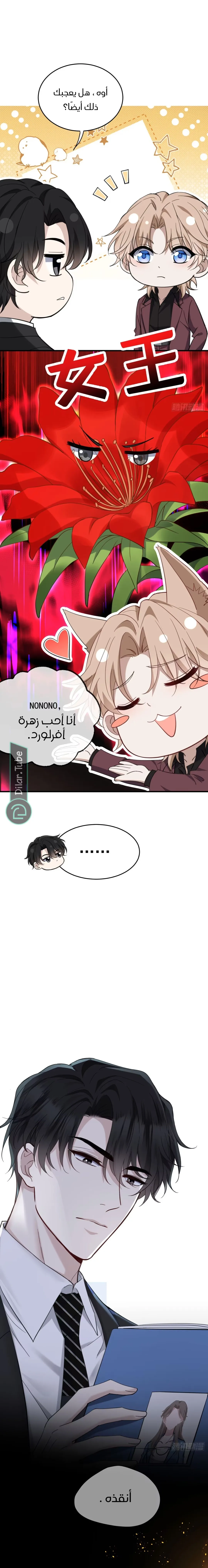 الصفحة 9
