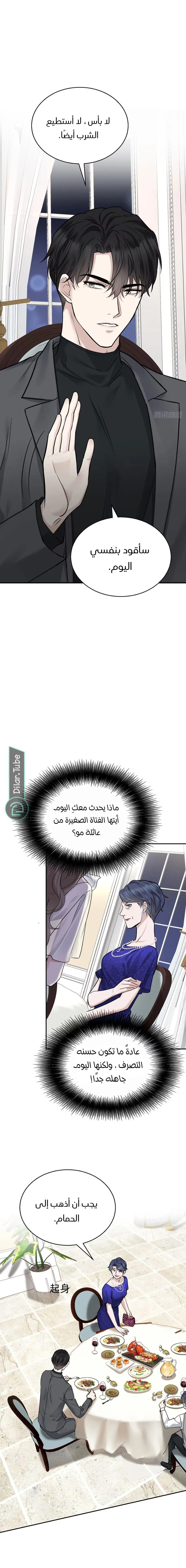 الصفحة 12