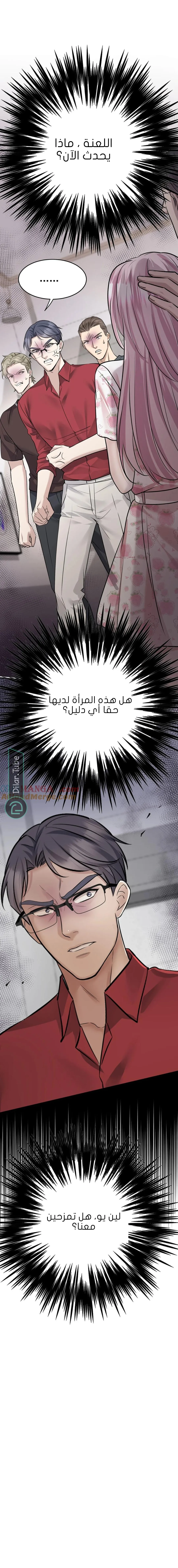 الصفحة 13