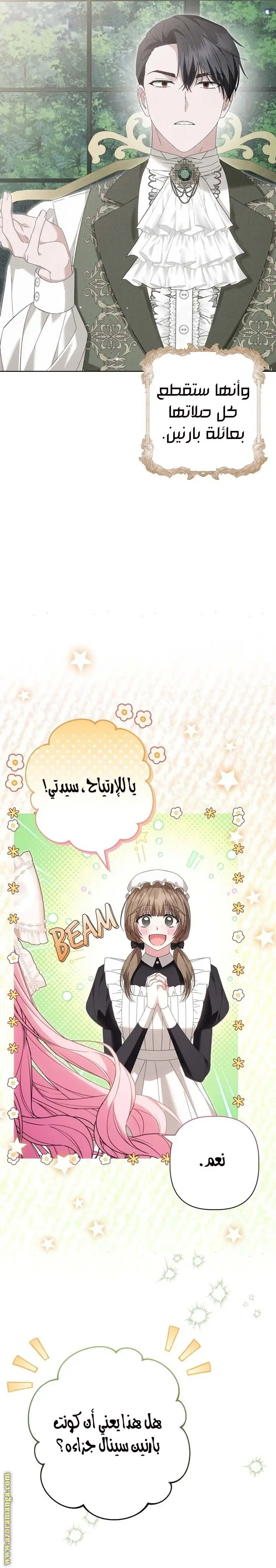 الصفحة 19