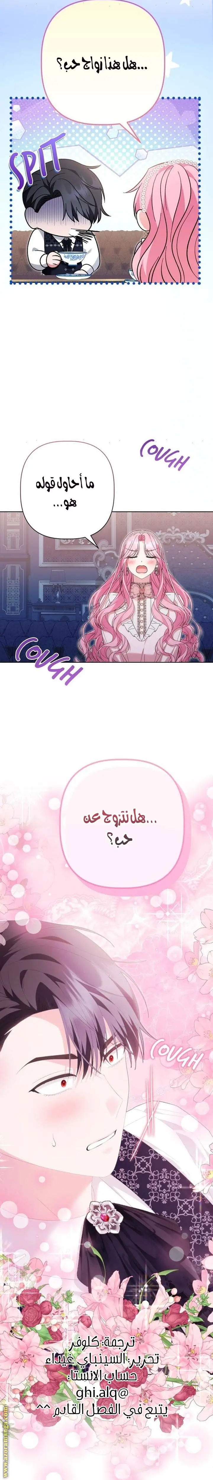الصفحة 28