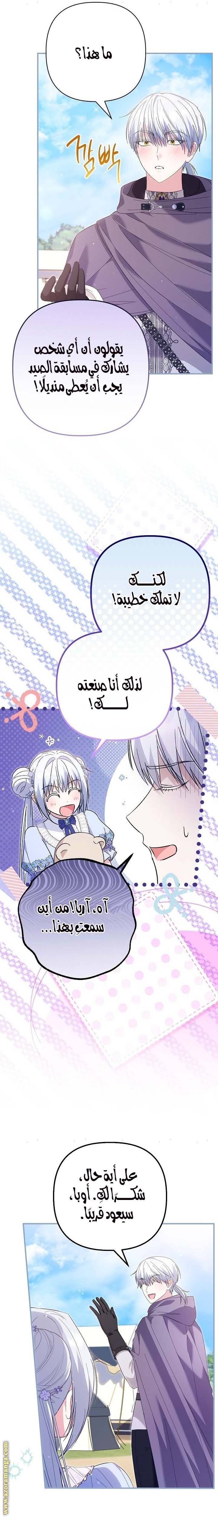 الصفحة 26