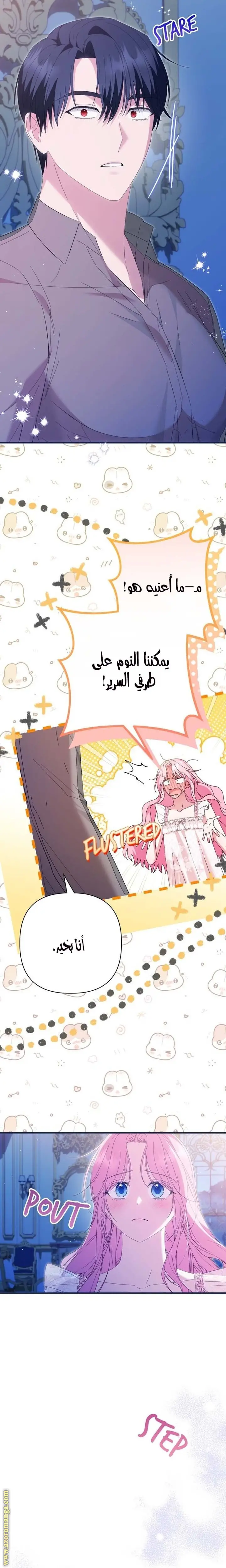 الصفحة 13