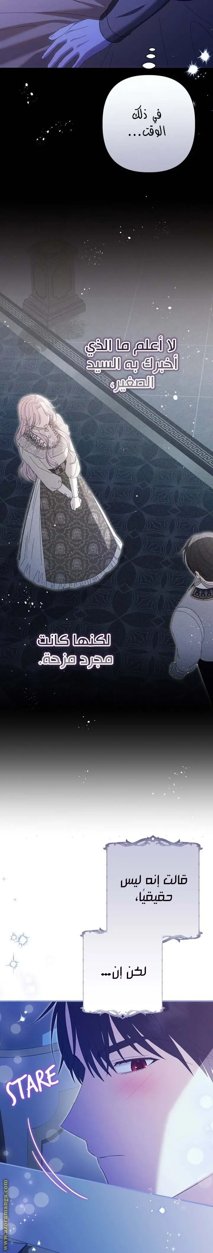 الصفحة 25