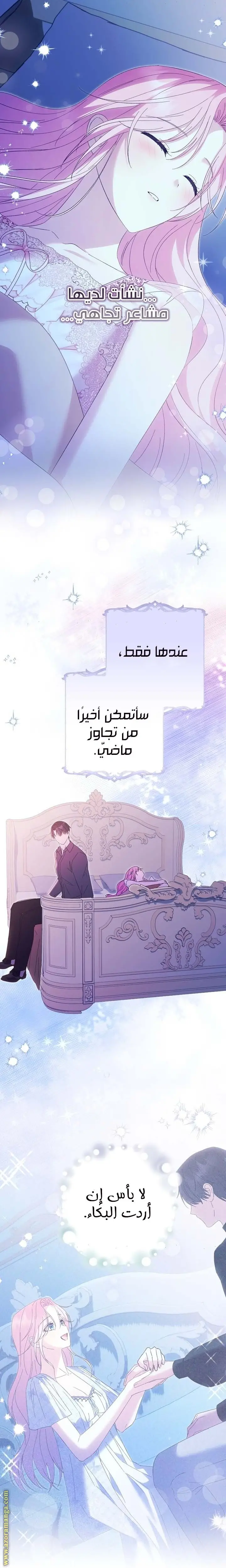 الصفحة 26