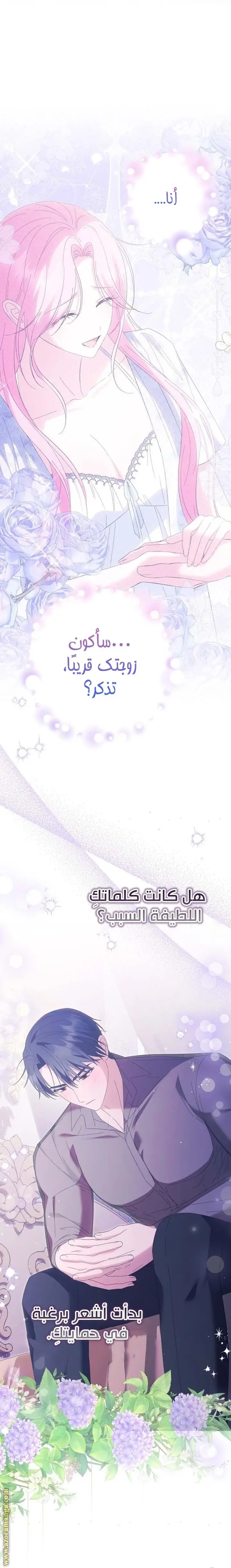 الصفحة 27