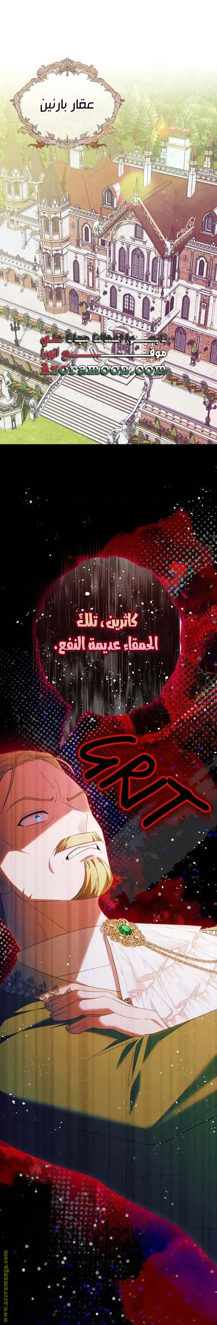 الصفحة 30