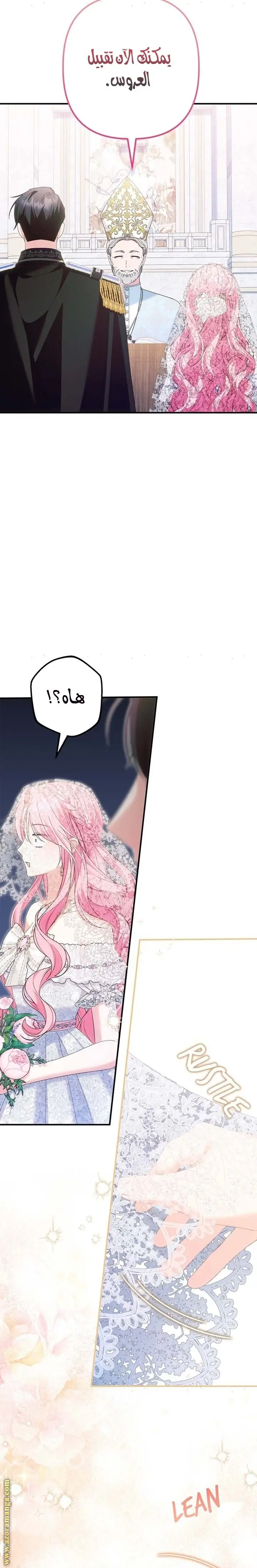 الصفحة 25