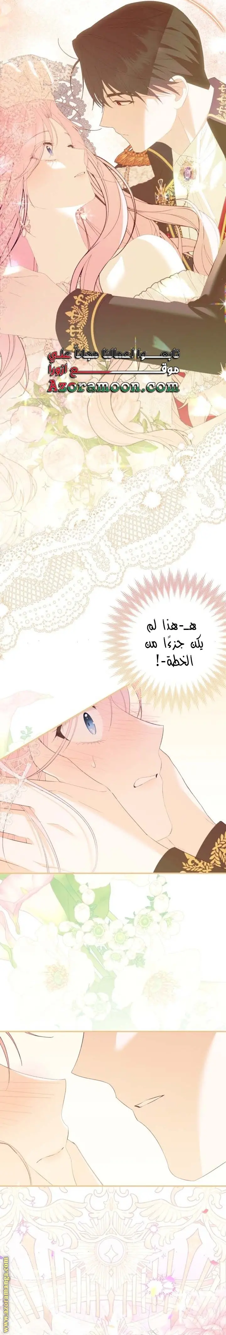 الصفحة 26