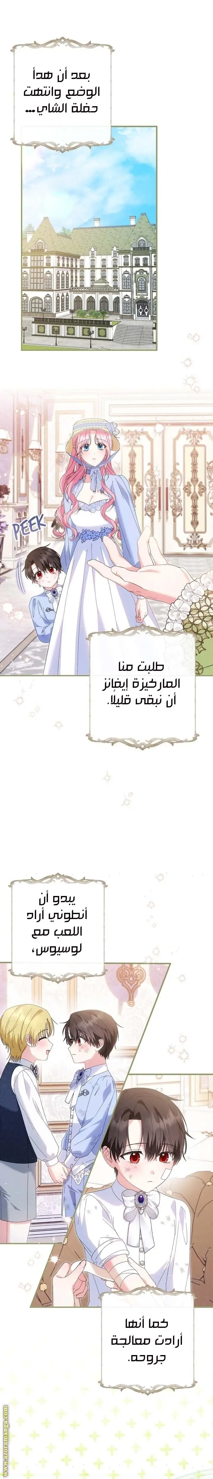 الصفحة 14