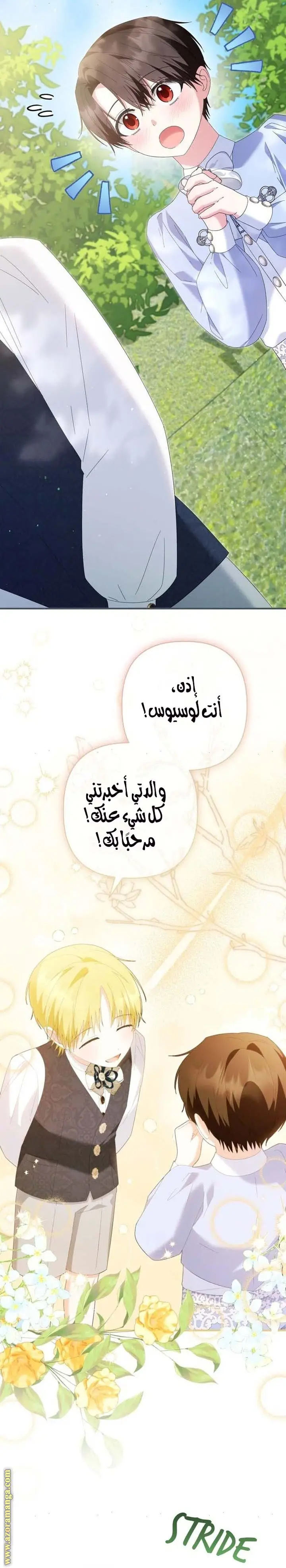 الصفحة 16
