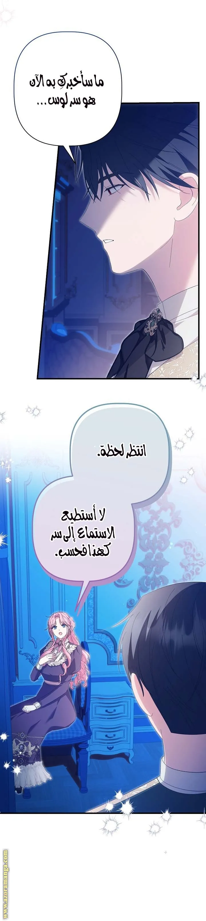 الصفحة 17