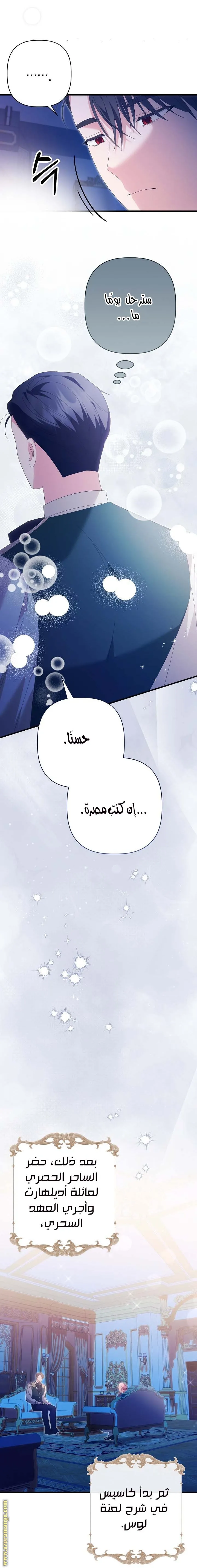 الصفحة 19