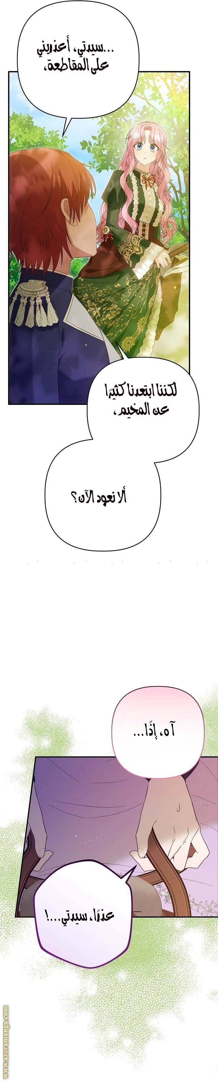 الصفحة 19