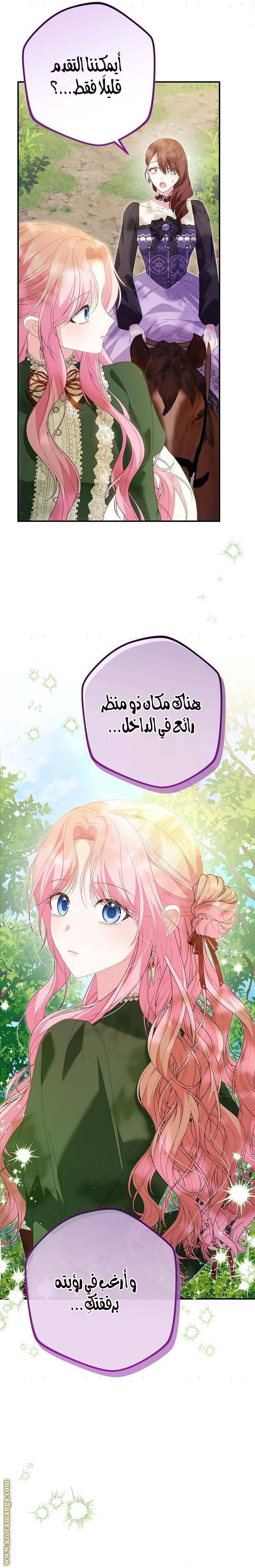 الصفحة 20