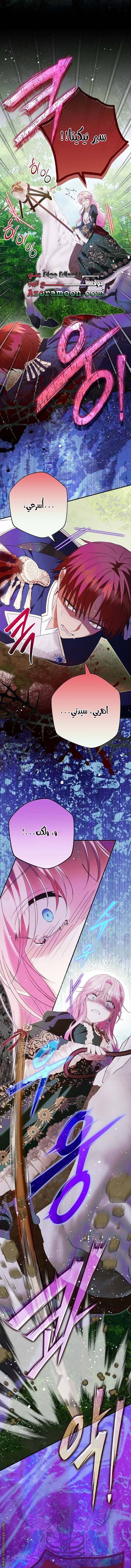 الصفحة 26