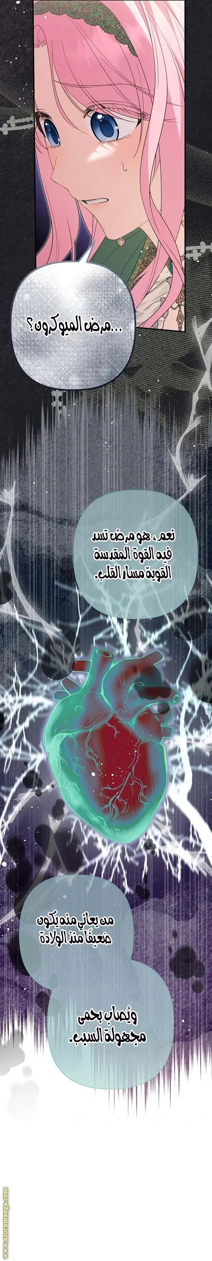 الصفحة 13