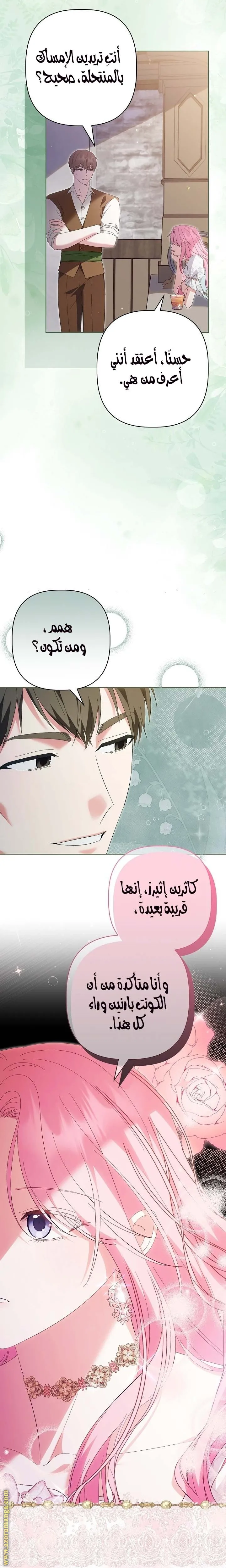 الصفحة 25