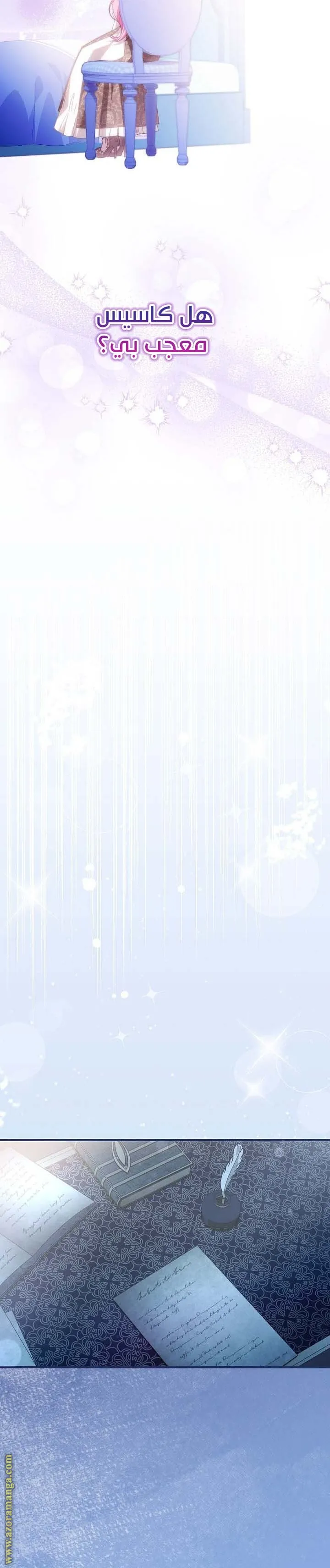 الصفحة 17