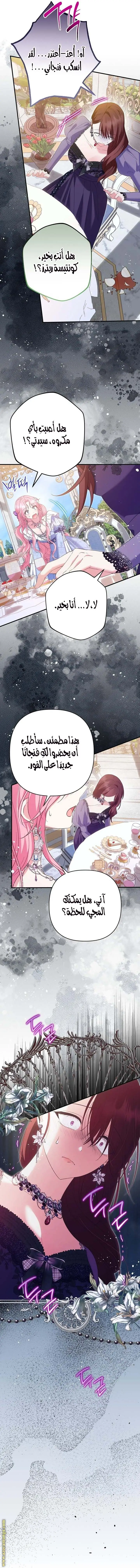 الصفحة 17