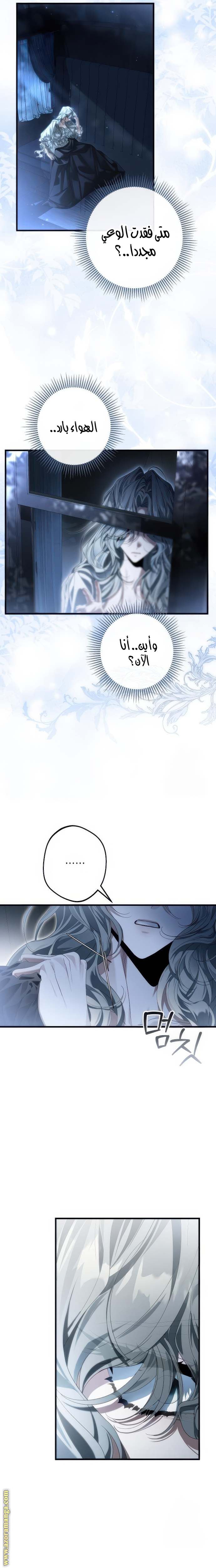 الصفحة 17