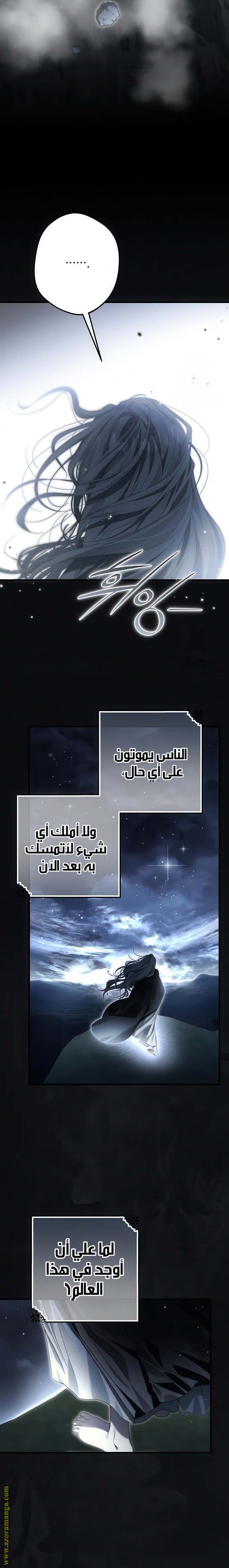الصفحة 25